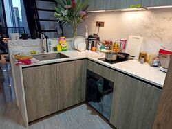 Leedon Green (D10), Condominium #545789661